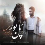 ابراهیم مرادی پل بور
