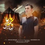 فرهاد میری کربلا