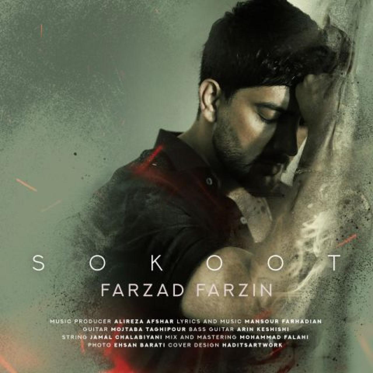 فرزاد فرزین - سکوت