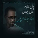 حمیدرضا علی بیگی دل دادم و دل بردی
