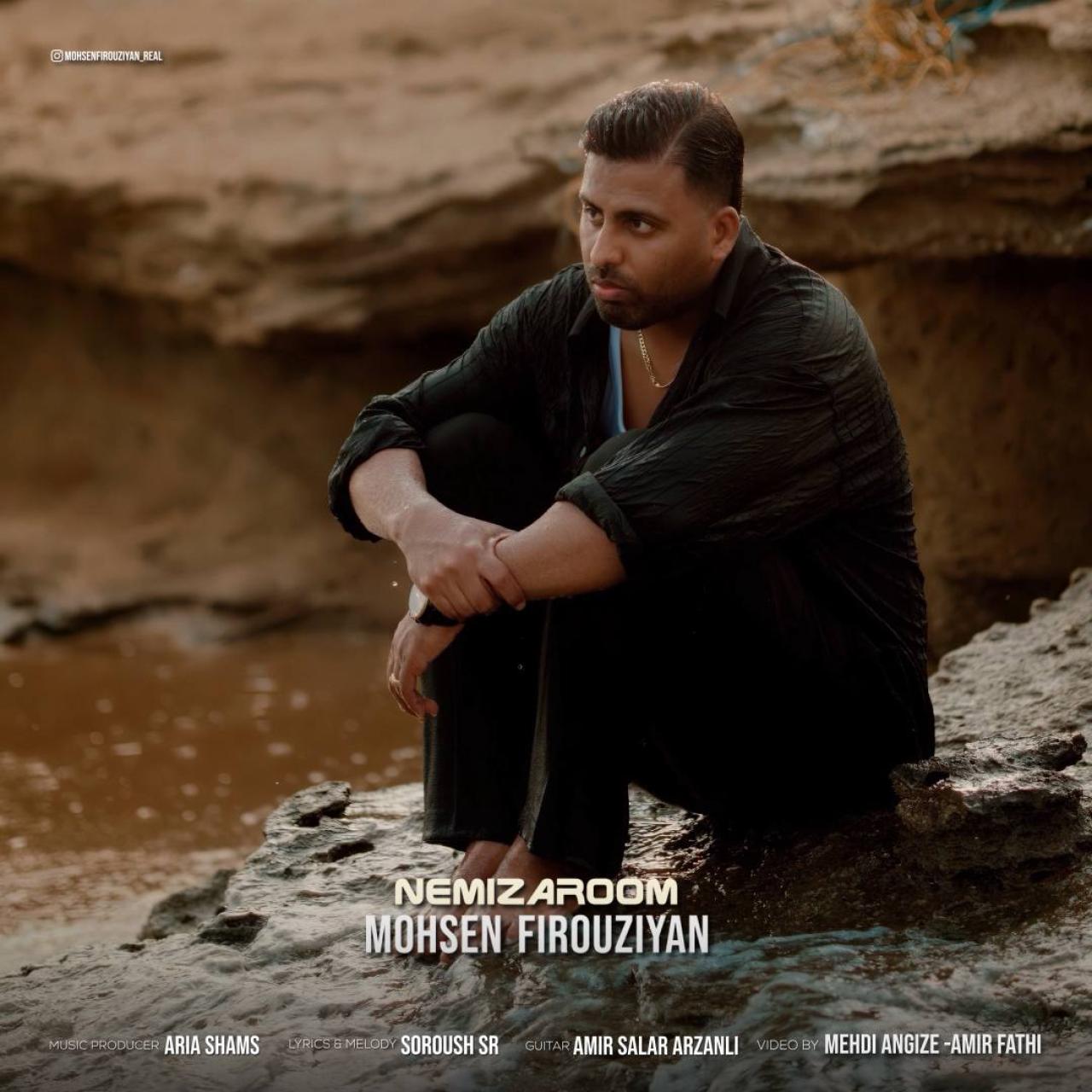 محسن فیروزیان - نمیزاروم