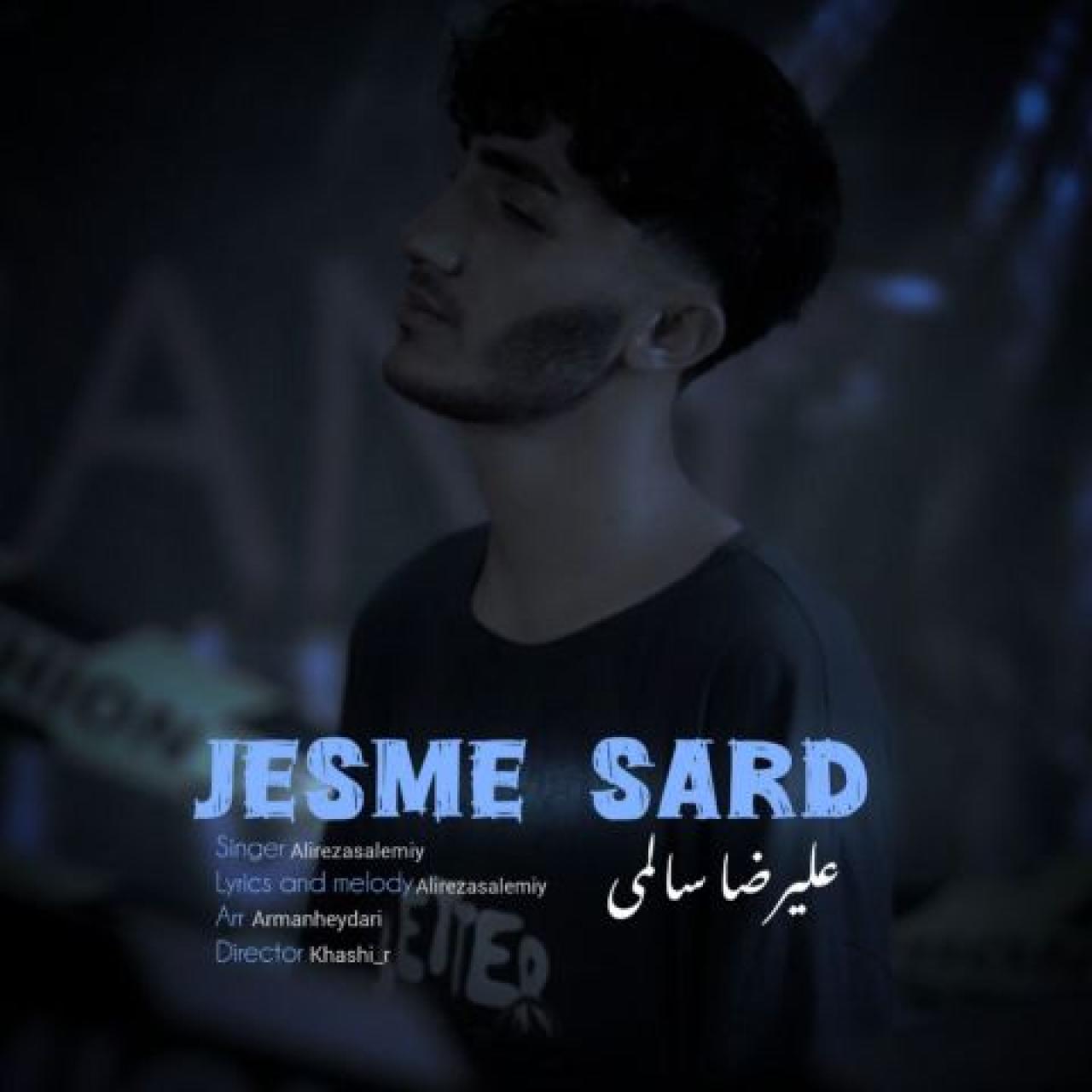 علیرضا سالمی - جسم سرد