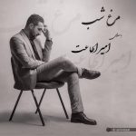 امیر اطاعت مرغ شب