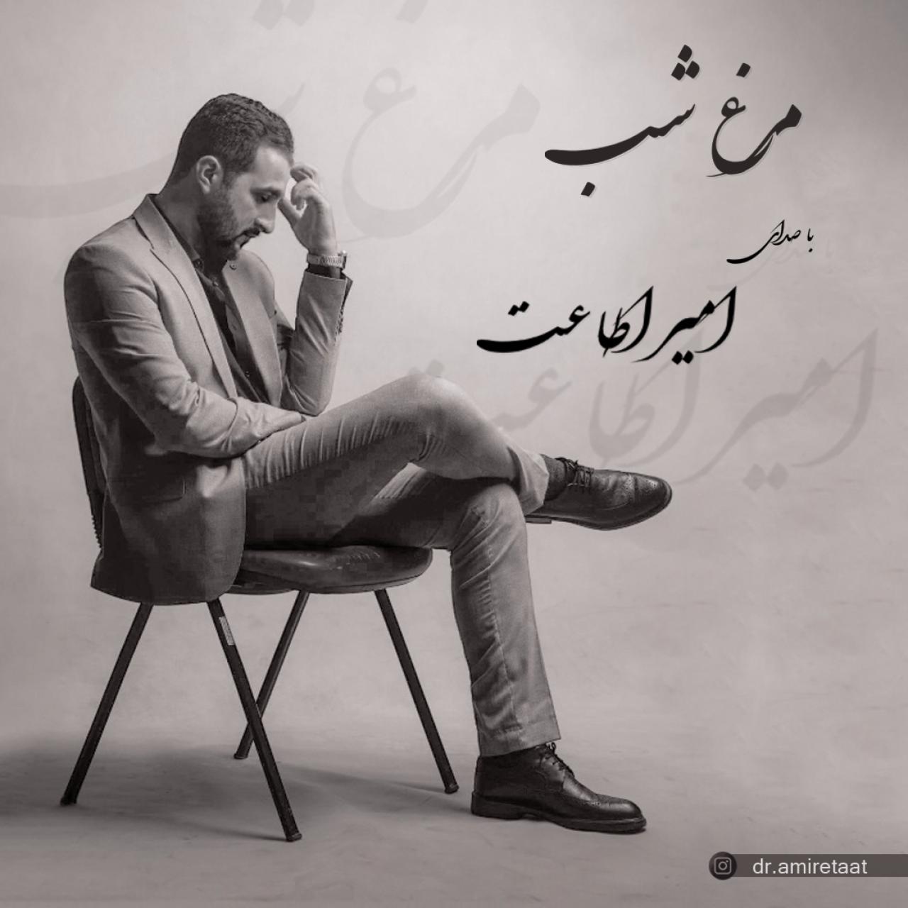 امیر اطاعت - مرغ شب