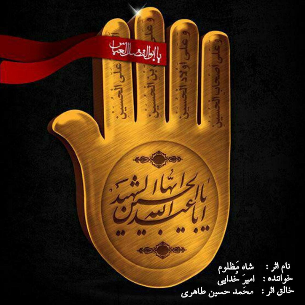 امیر خدایی - شاه مظلوم