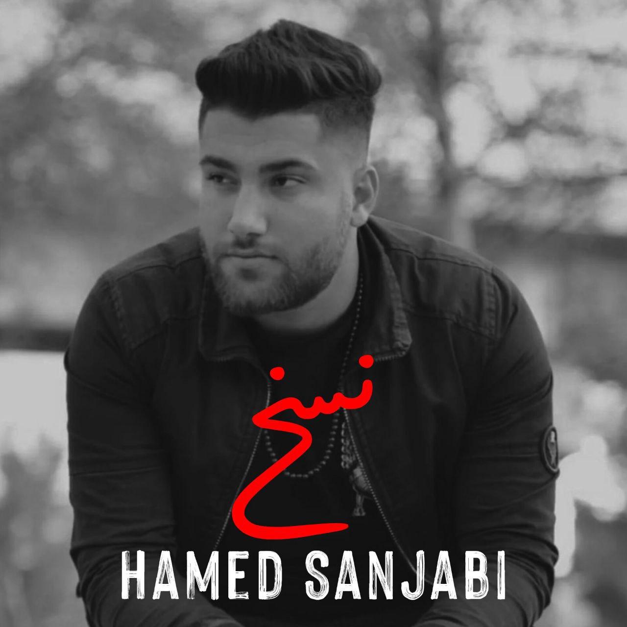حامد سنجابی - نسخ