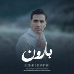 میثم اسفندیاری بارون