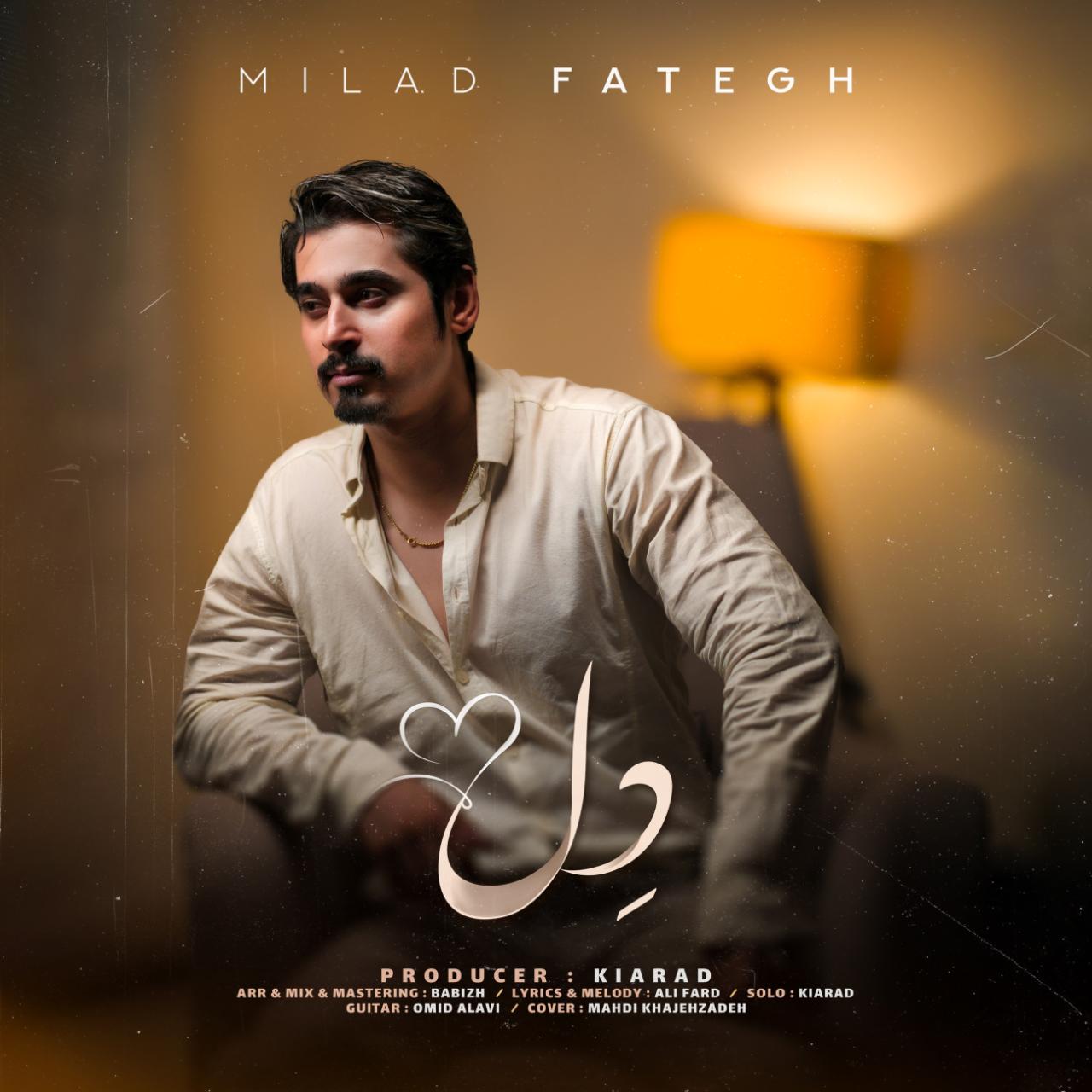 میلاد فاتق - دل
