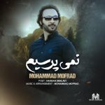 محمد مفرد نمی پرسیم