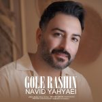 نوید یحیایی گل راشین