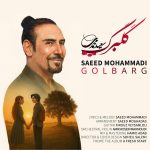 سعید محمدی گلبرگ