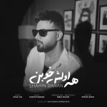 شاهین بنان همه اولش خوبن