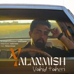 وحید طاهری یالانمیش