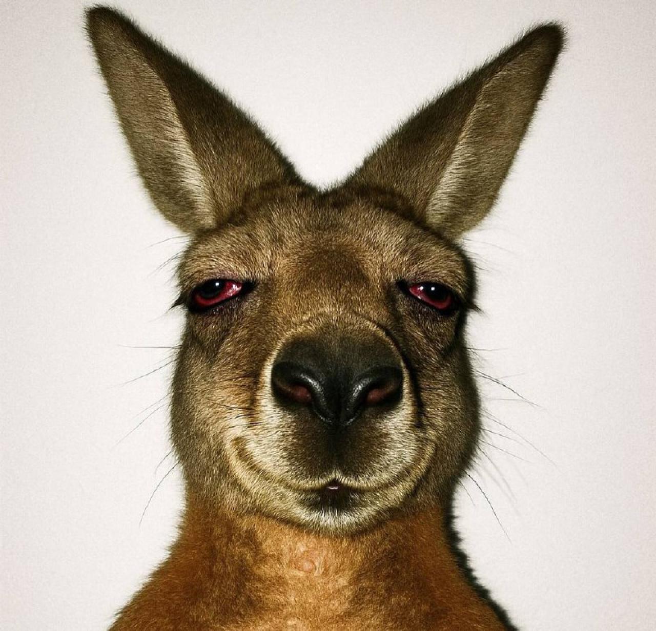 دانلود آهنگ حسین تهی و امین تیجی فمیلی امین تیجی و حسین تهی - فمیلی