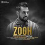 امیرحسین سنا ذوق