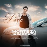 مرتضی جعفرزاده فاصله ها