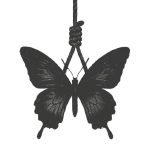 هیپهاپولوژیست بارونه پیمود