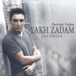 شادمهر عقیلی یخ زدم (ورژن الکترونیک)