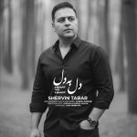 شروین تبار دل به دل