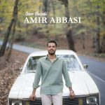 امیر عباسی گیسو شرابی